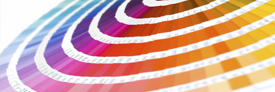 Ayışığı Banner